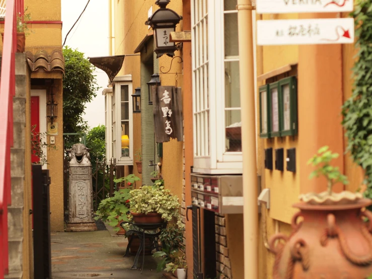 the small alley has many potted plants