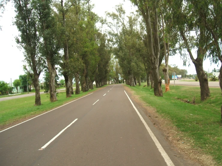 a wide tree lined street leads to a parking area