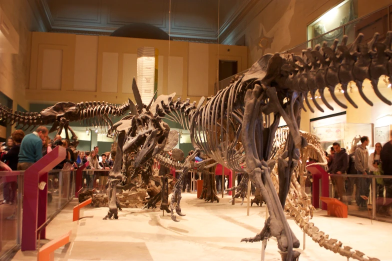 the large group of museum workers are standing behind the skeleton of a t - rex