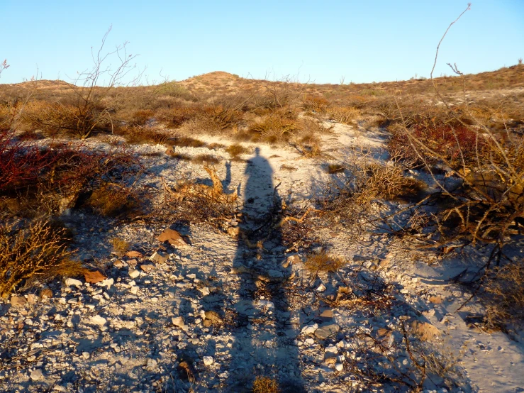 a shadow of a man walking in a desert like area