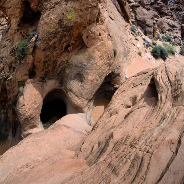 a large group of rocks and plants in the center of a small tunnel