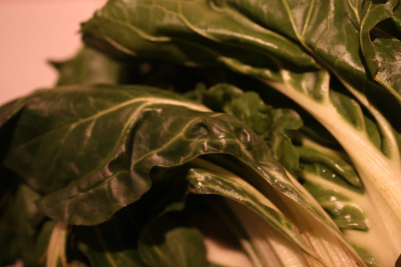 some green and white lettuce pieces on a table