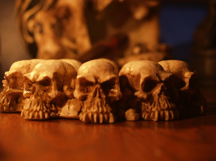 small human skull heads on a wooden table