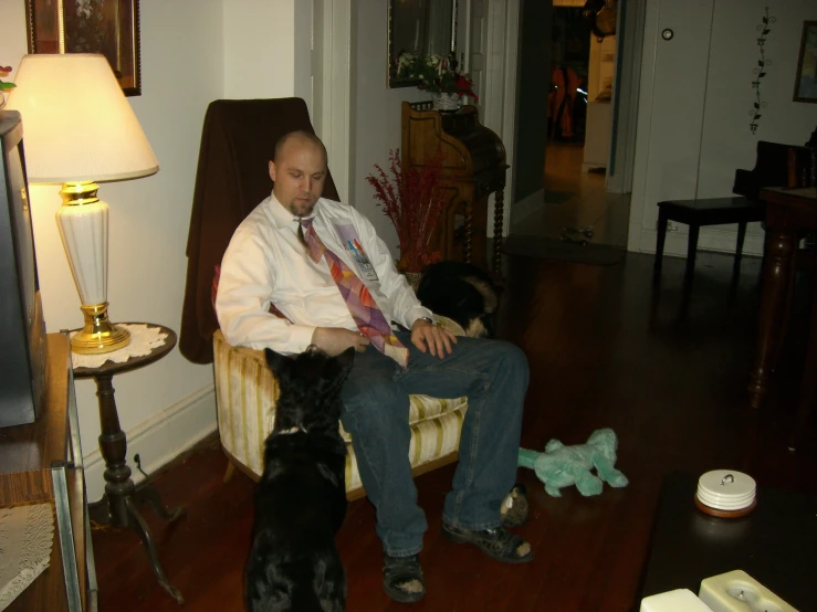 a man with his legs crossed is on a chair while his dog waits for the owner to sit
