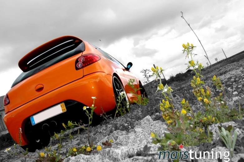 an orange car parked in some pretty flowers