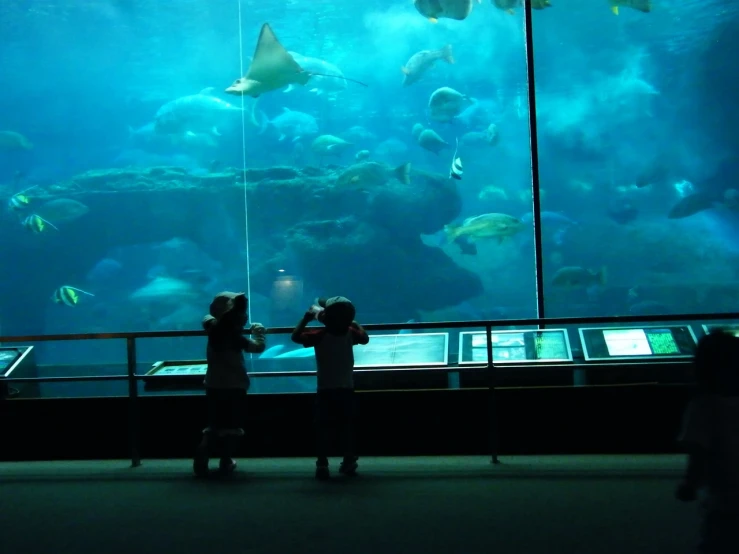 two children take pos while looking at fish in an aquarium