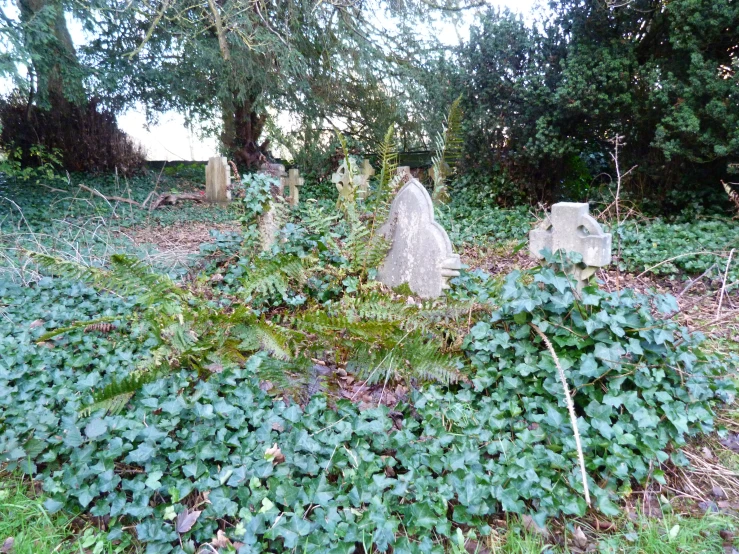 an old cemetery, with some trees in the background
