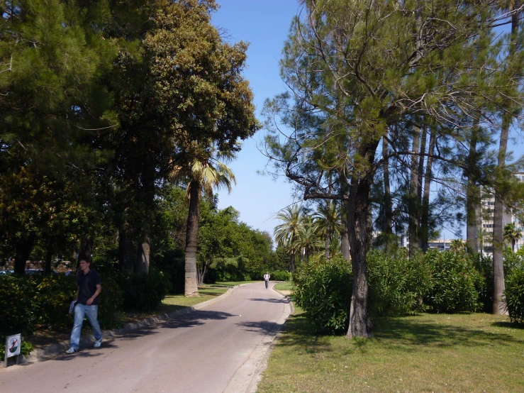 man walking down the road through trees and grass