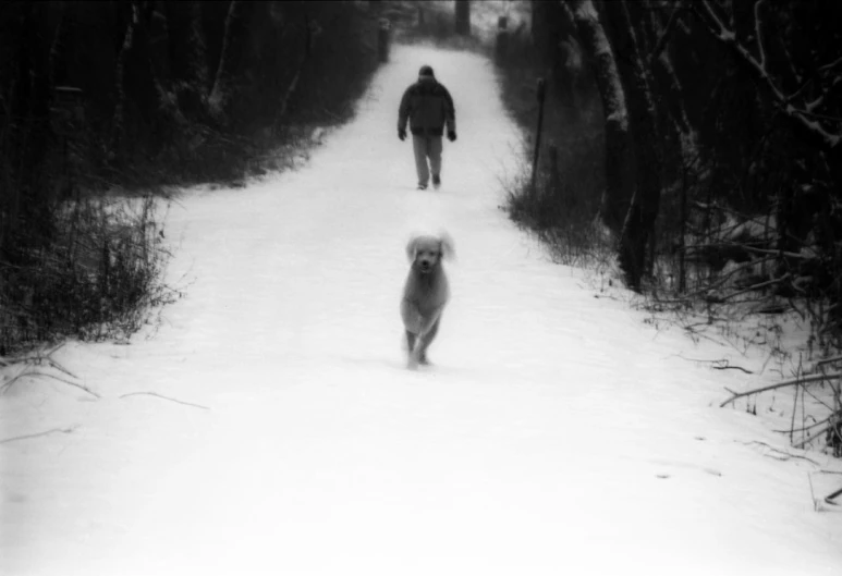 a man walking along a path with a dog behind him