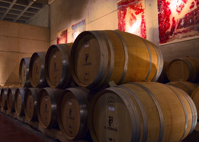 several wooden barrels sit side by side in a winery