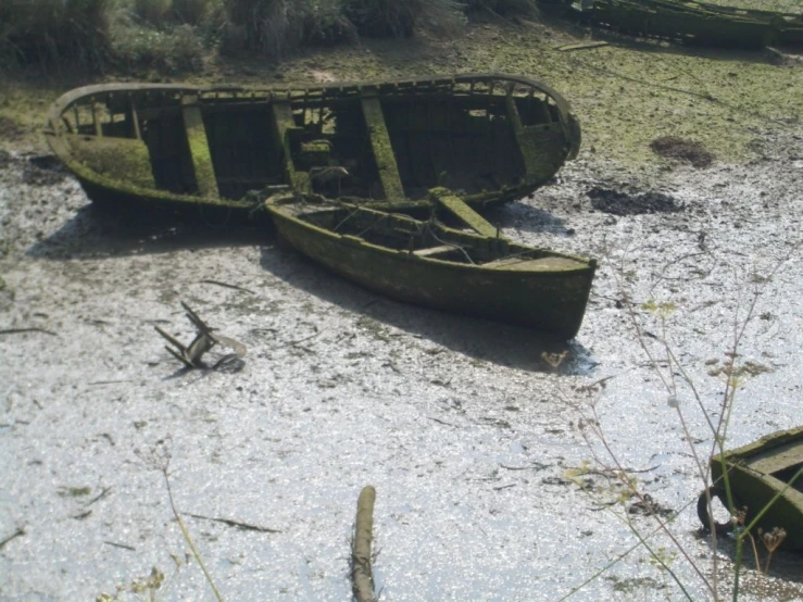 old rusty boats in a swampy area