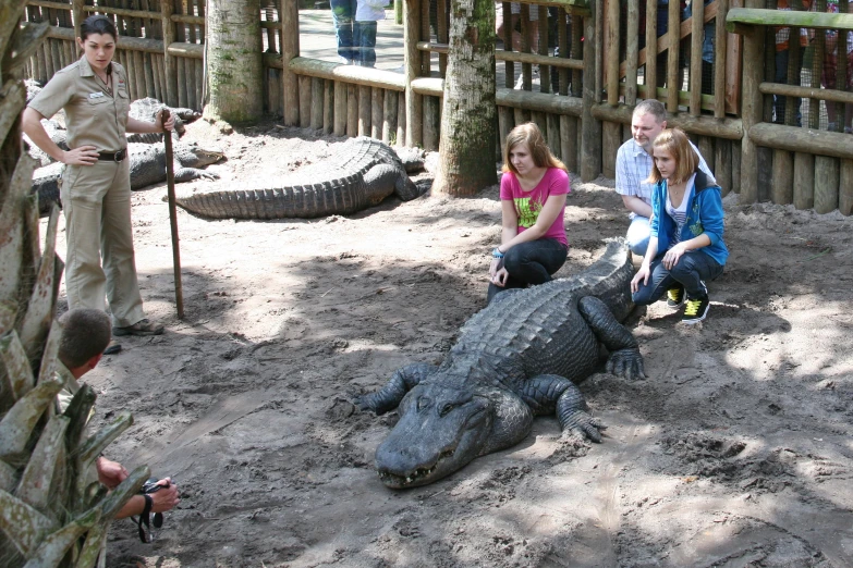 s sitting on the ground petting an alligator