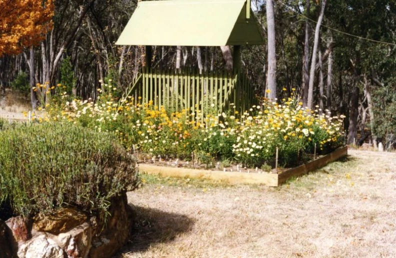 an old wooden bench and flower bed in the woods