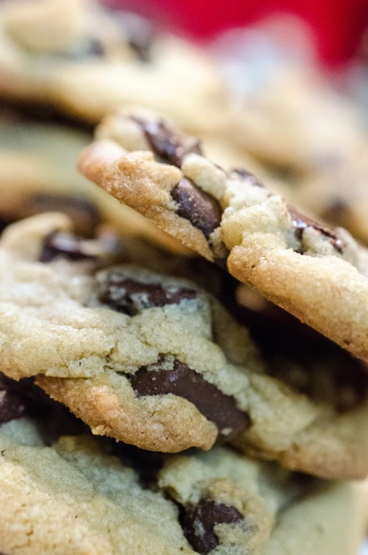 a close up of several chocolate chip cookies