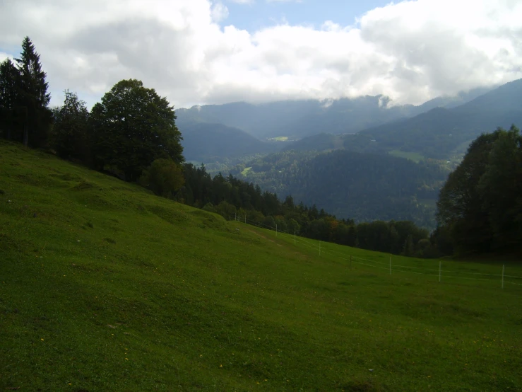 some mountains and a lush green field with trees