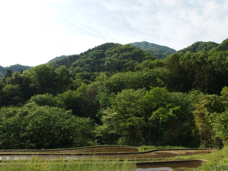 some very pretty green hills and trees with some benches in it