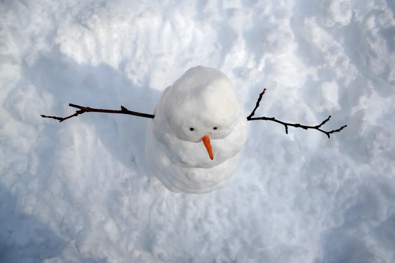 a snowman with a carrot sticking out of it's mouth in the snow