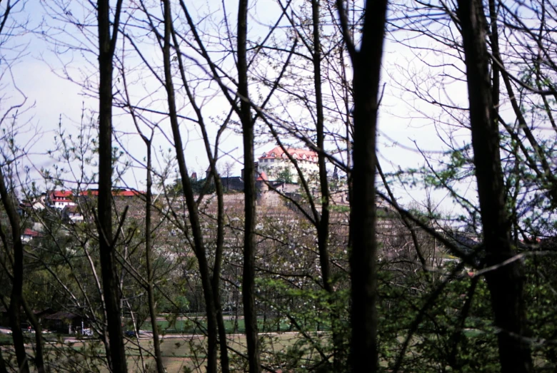 trees are in the foreground as a large house sits on a hill in the distance