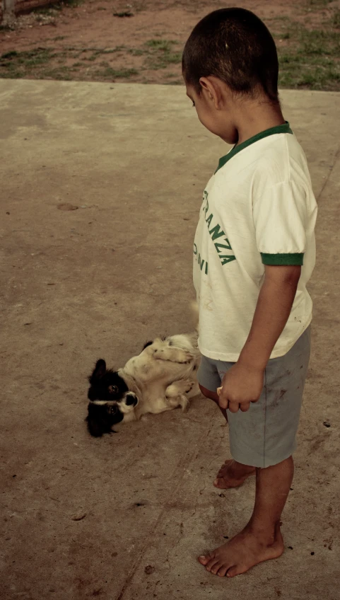a little boy is touching a small dog