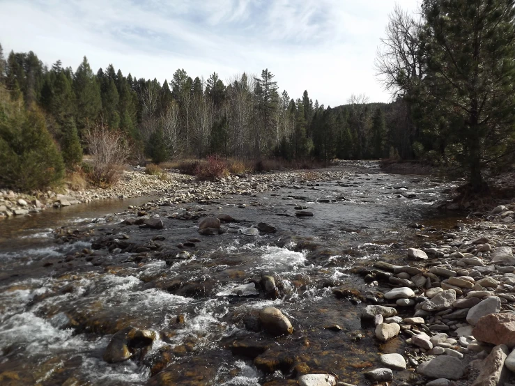 a river runs beside the woods in a mountainous area