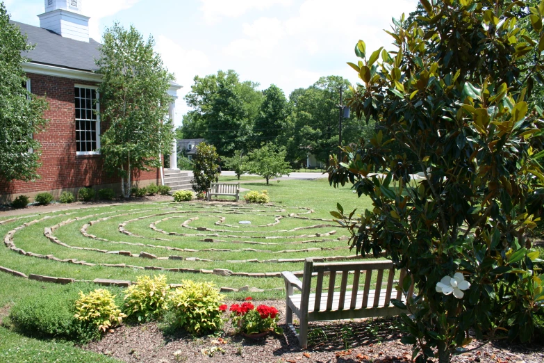 the back garden has an old design of circles in it