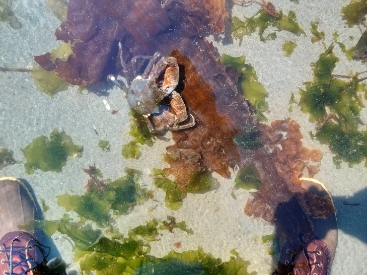 a couple of people standing in some shallow water