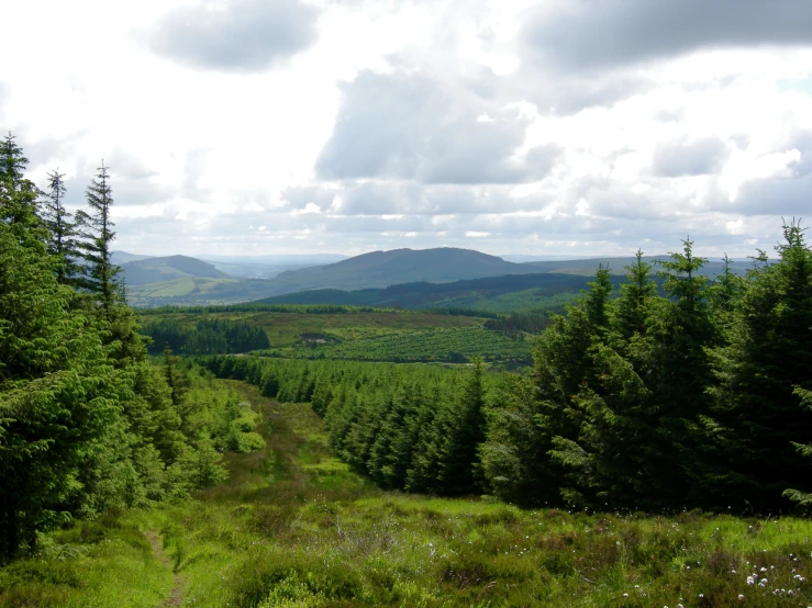 an image of the view from a hilltop