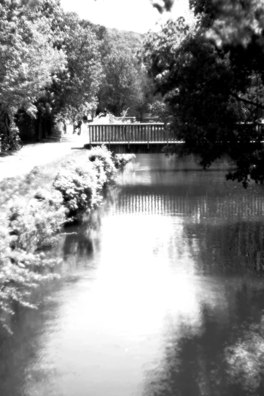 the black and white po shows a river, bridge and trees