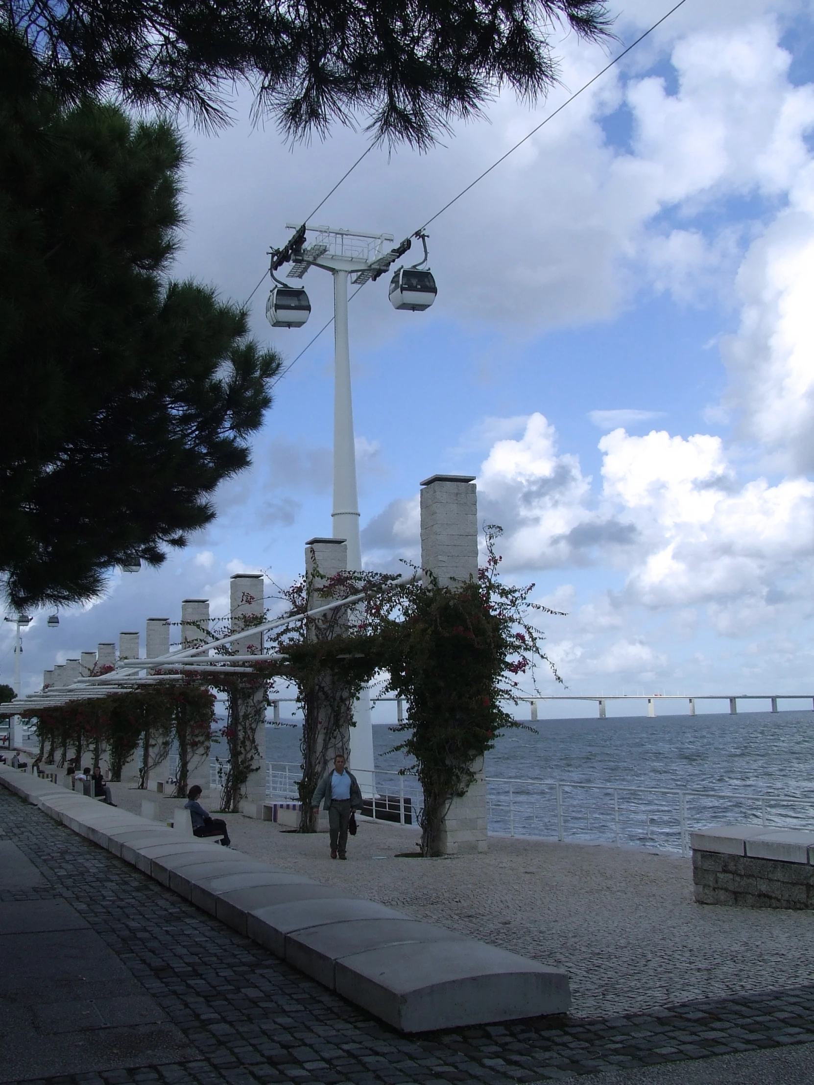 a bunch of wires on poles above the water