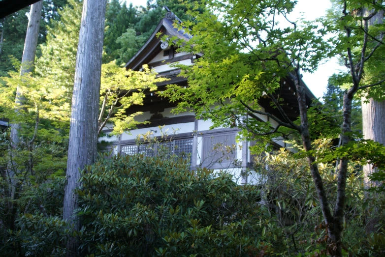 a tall white building sitting among some trees