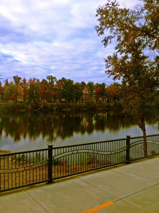 a large body of water with a tree in the foreground