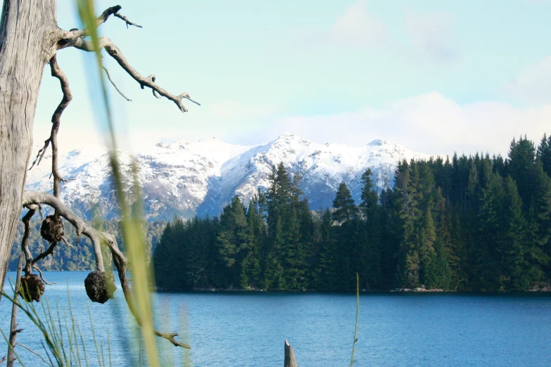 a view of the mountains, trees and water that are in front of a lake