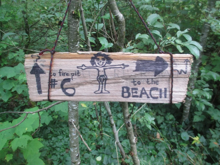a wooden sign hanging from a tree in the woods