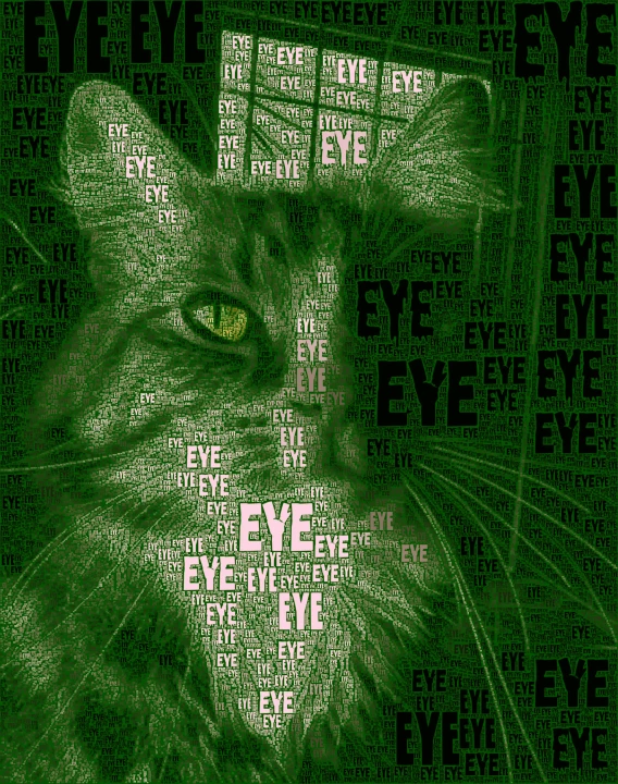 a green picture of a cat and other words