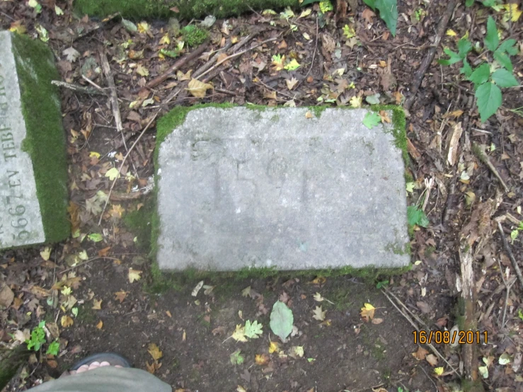 an old grave with green moss on the ground