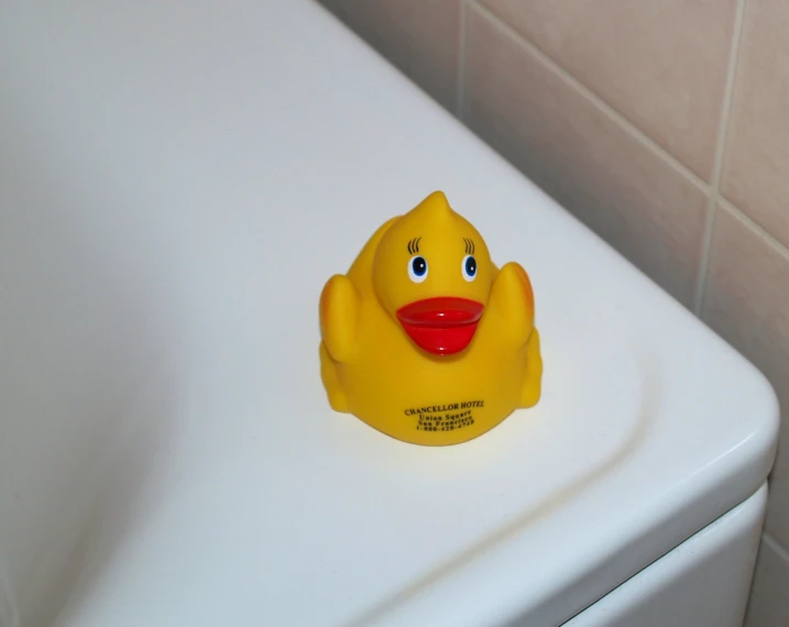 small yellow rubber duck sitting on a toilet in the bathroom