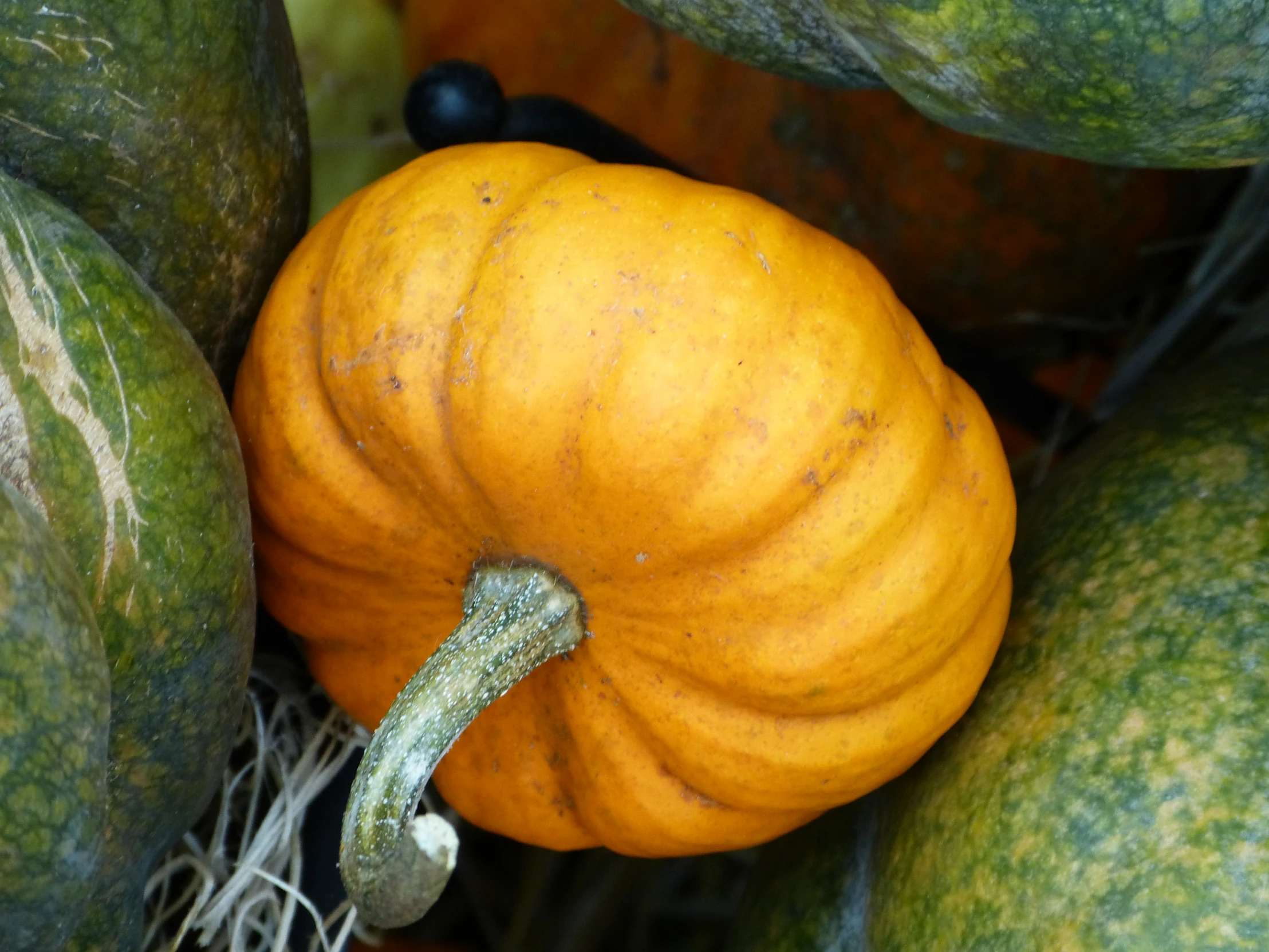 a bunch of pumpkins stacked up together