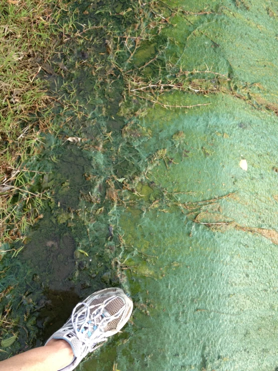 there is a pair of feet that are standing on a grass covered field