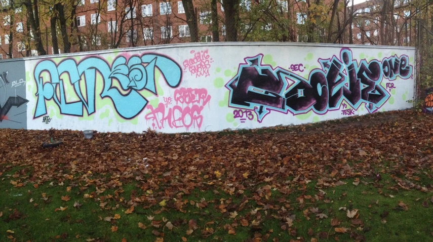 a park area that has various graffiti on it