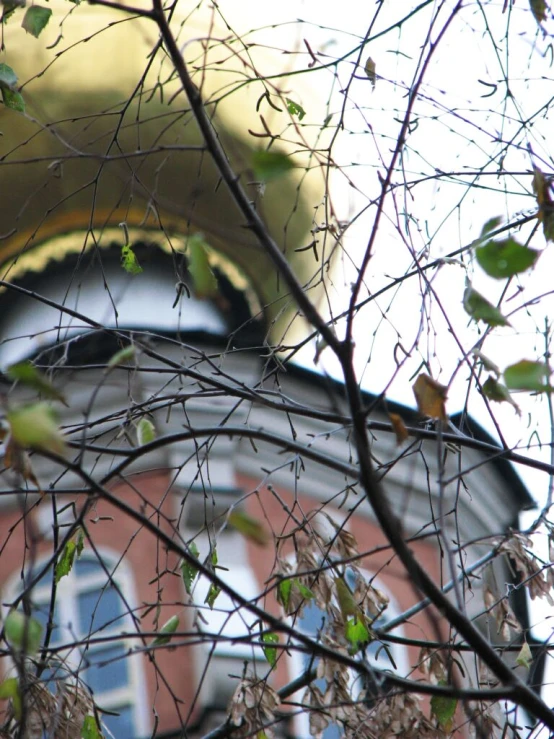 close up of a large clock with a tree in front of it