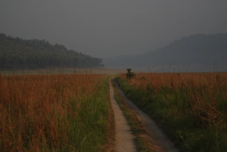 a dirt road in a large field next to trees