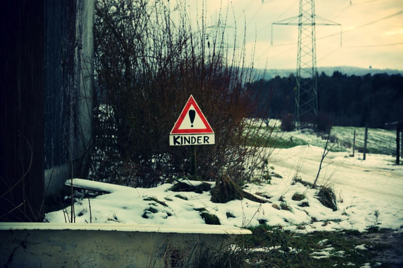 a road sign is surrounded by vines and snow