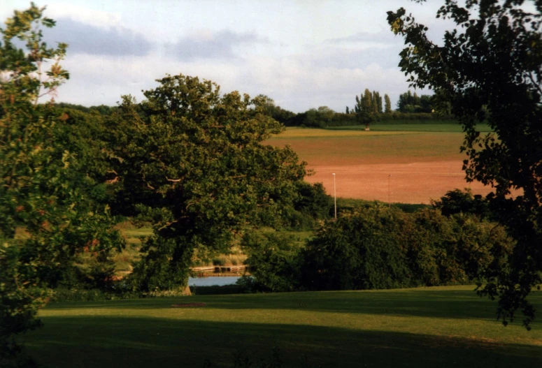 this is an image of the countryside with trees