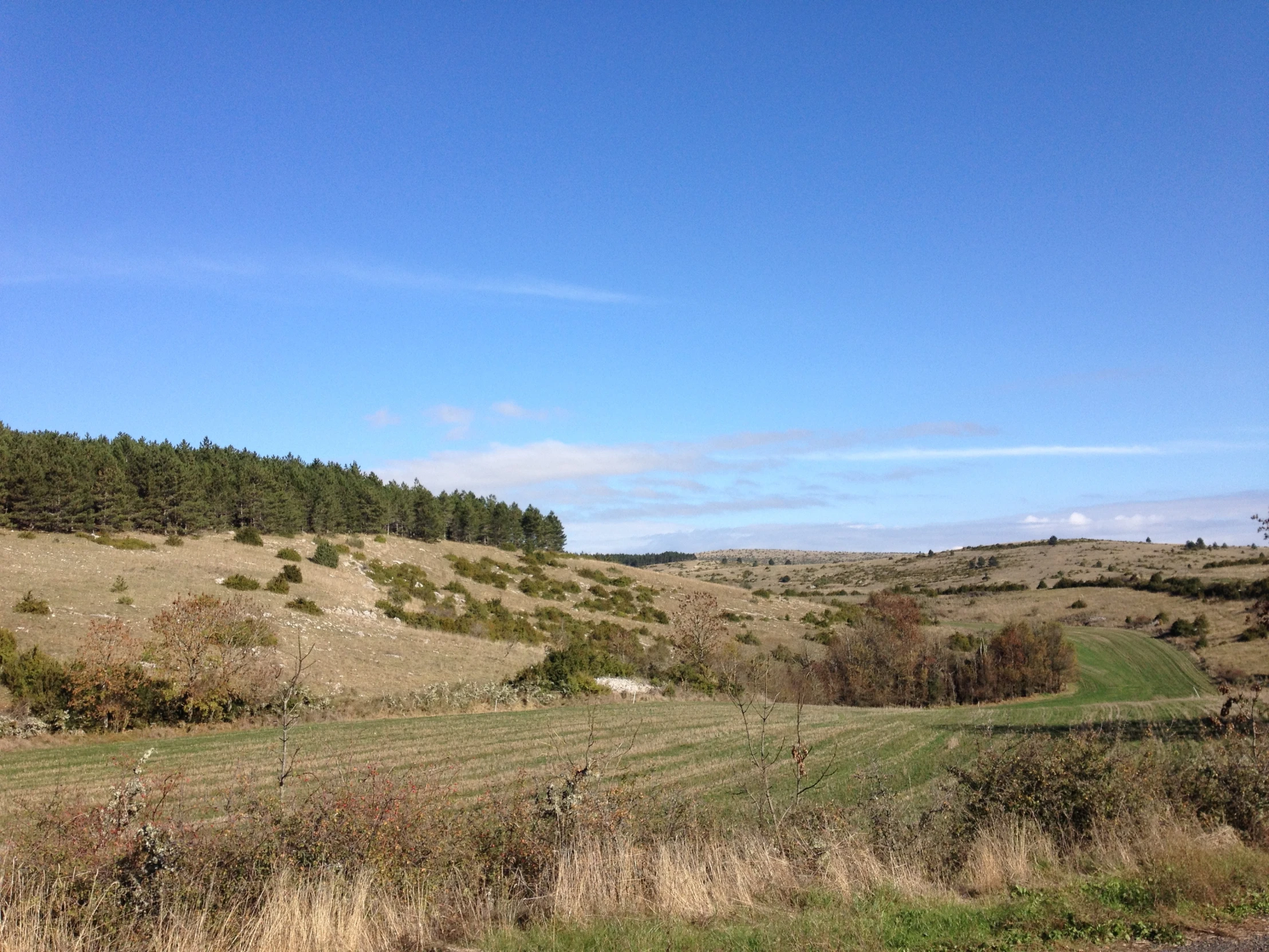 the open field on top of a hill