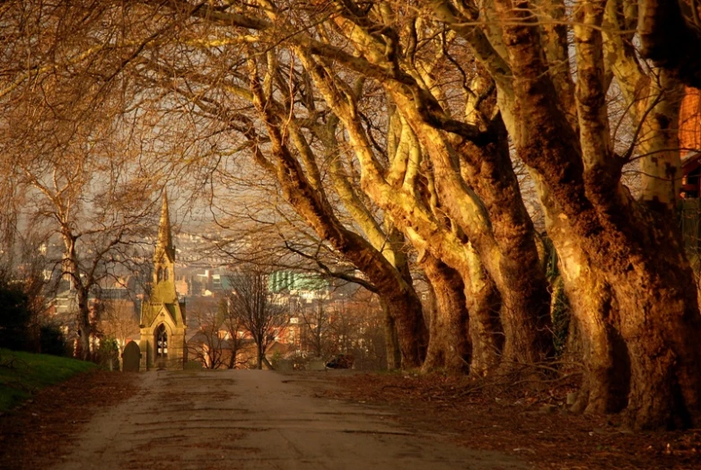 trees line the street next to a church