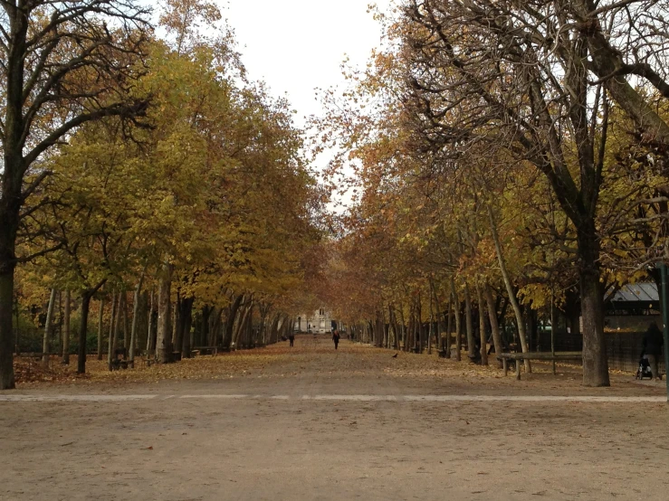 a po of an outdoor park with trees lining the road
