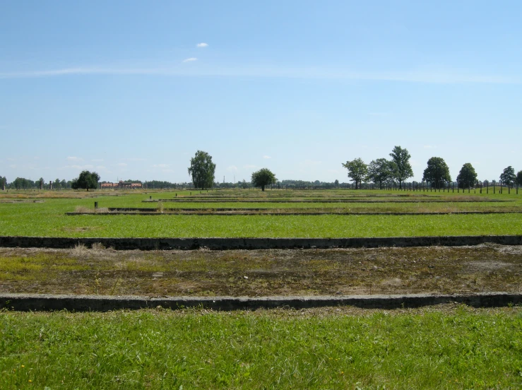 some grass field that is very close to the road