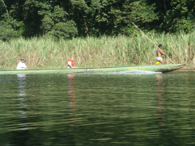 people on canoes paddling on the water near grass