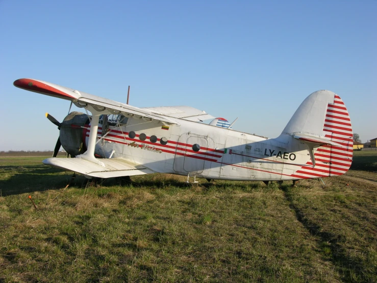 the plane has red stripes on it and is parked on the grass