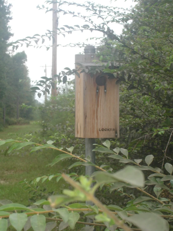 a close up of a birdhouse attached to a tree